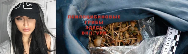 дживик Абаза