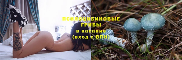 дживик Абаза